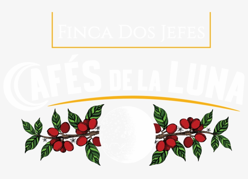 Boquete Coffee Tour - Finca Dos Jefes, transparent png download