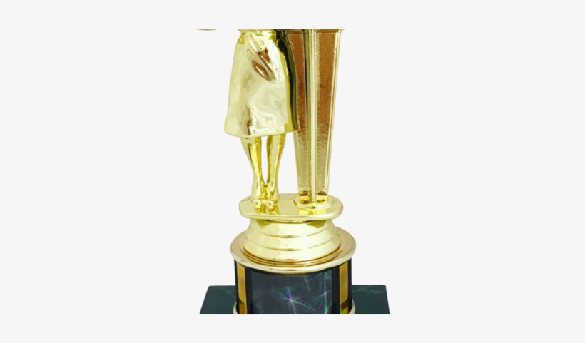 1st Place In F*cking Up Established Heteropatriarchal - Trophy 1st Place, transparent png download