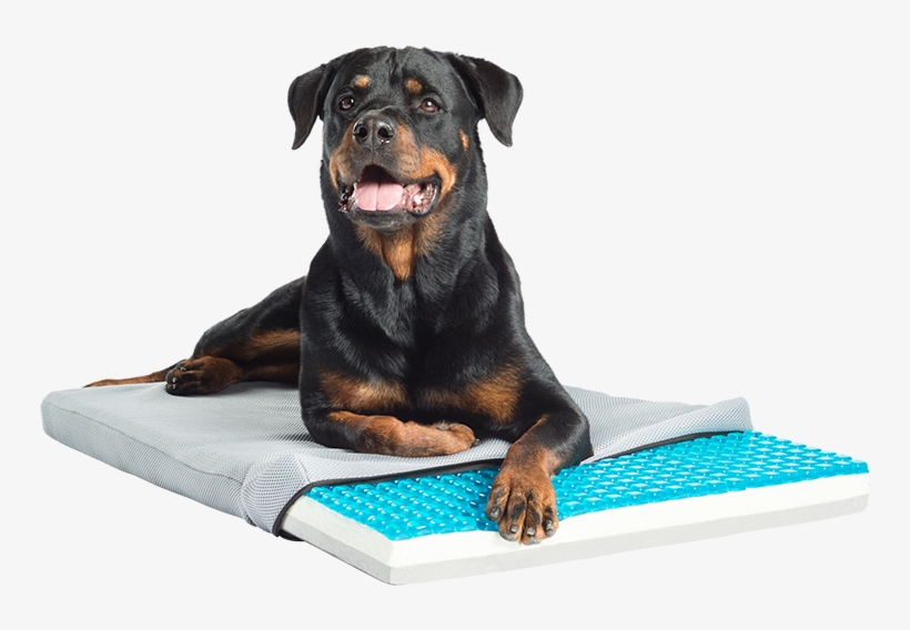 Gel Cell Cooling Cushion With Tri-core Charcoal Infused - Cooling Dog Bed, transparent png download