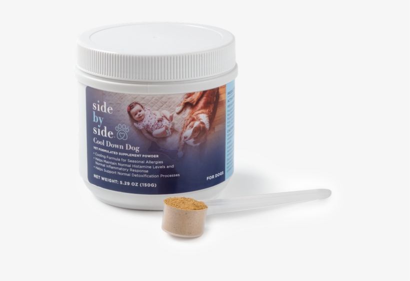 Cool Down Dog - Dog, transparent png download