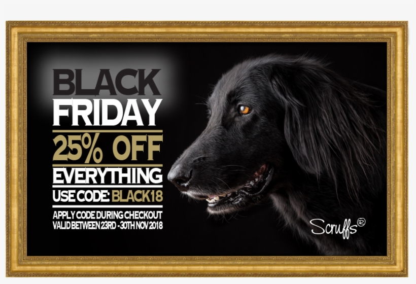 Scruffs Black Friday - Companion Dog, transparent png download