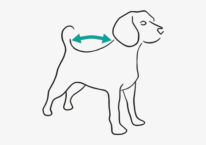 430 Ml / - Harrier, transparent png download