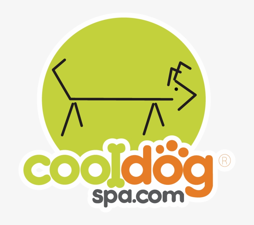 About Us Cool Dog Spa - Shampoo, transparent png download