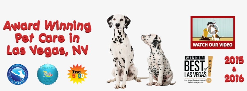 Nature's Miracle Supreme Oatmeal Odor Control Shampoo, transparent png download