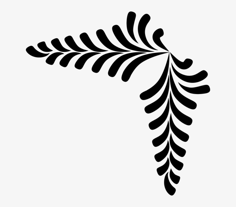 Ornament, Foliage, Polypody, Nature, The Background - Ornamentos Png, transparent png download