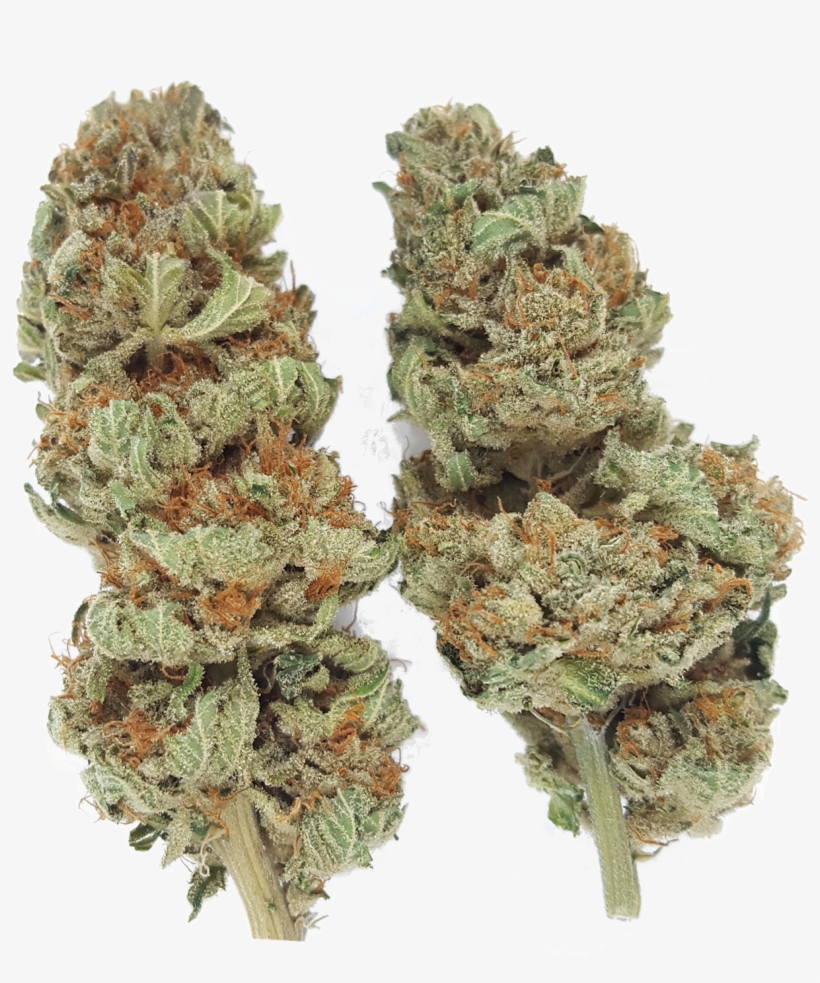 Find Our Products - Cannabis, transparent png download