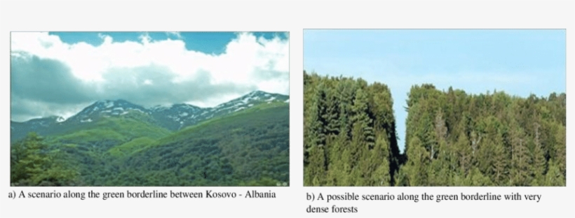 Possible Scenarios Along The Border With High Forests - Shortleaf Black Spruce, transparent png download