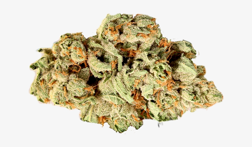 S4s Weed Download - Larch, transparent png download