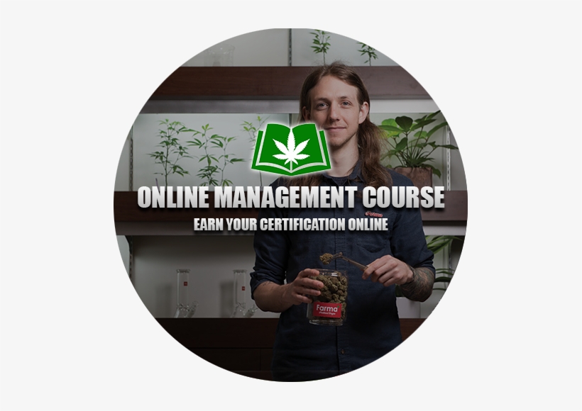 Online Management Course - Management, transparent png download