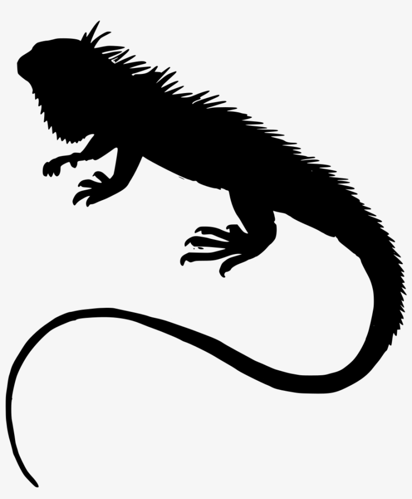 Download Png - Iguana Silhouette, transparent png download