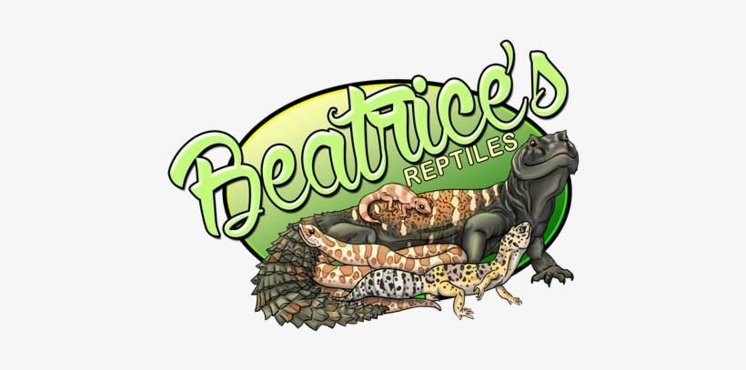 Beatrice's Reptiles - Gila Monster, transparent png download