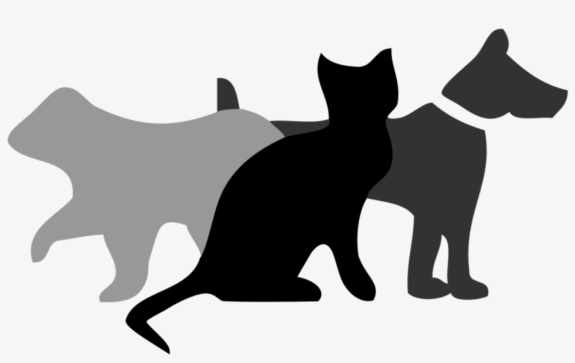 File - Wikiproject - Warriors - Svg - Cat, transparent png download