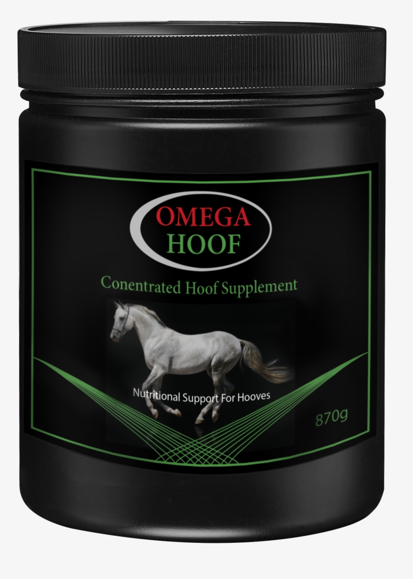 Horse, transparent png download