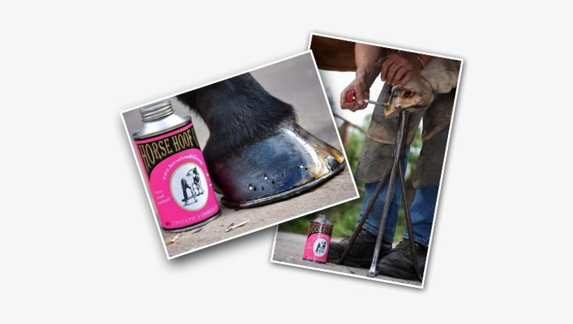 Horse Hoof - Horse, transparent png download