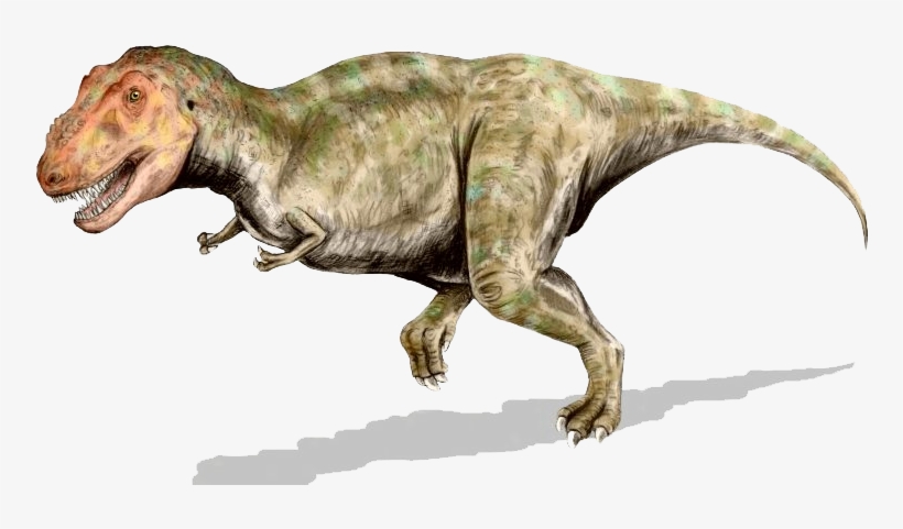 Tyrannosaurus Bw - Tyrannosaurus Rex, transparent png download