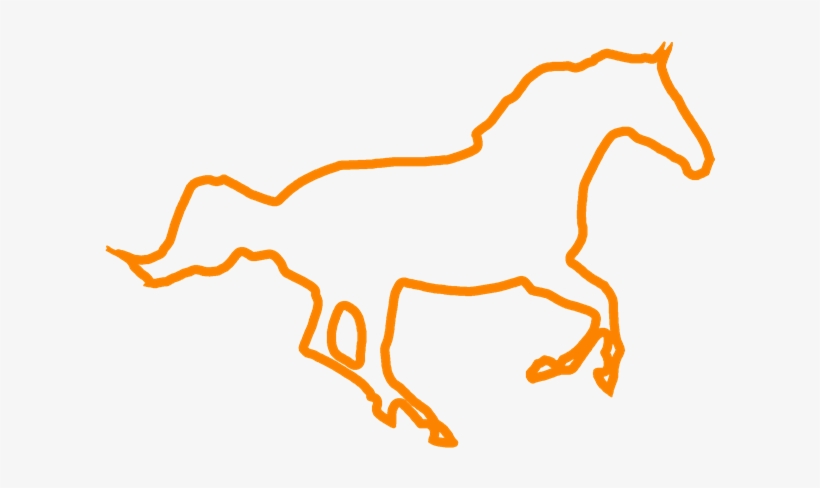 The Horse Care Offering Includes Feeds/visits, Holding - Horse, transparent png download