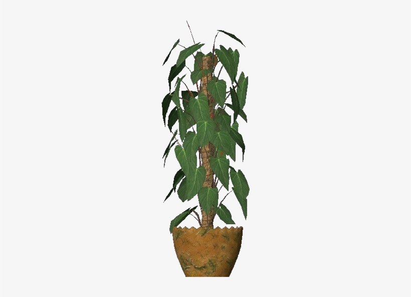 Plantas 3d - Philodendron Scandens - Software, transparent png download