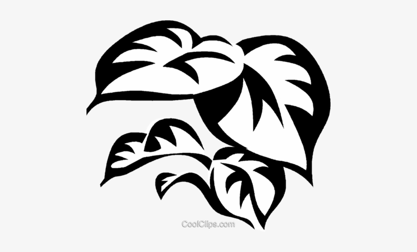 Philodendron Royalty Free Vector Clip Art Illustration - Terrace, transparent png download