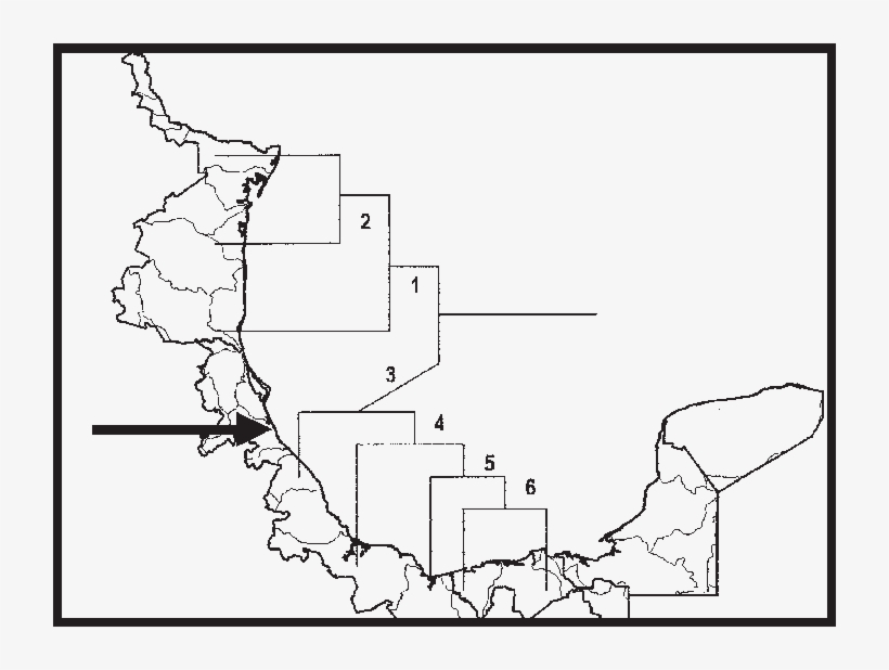 Cladograma Del Análisis De Parsimonia De Endemismos - Cladogram, transparent png download