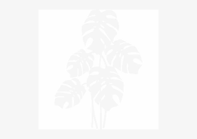 Philodendron, transparent png download