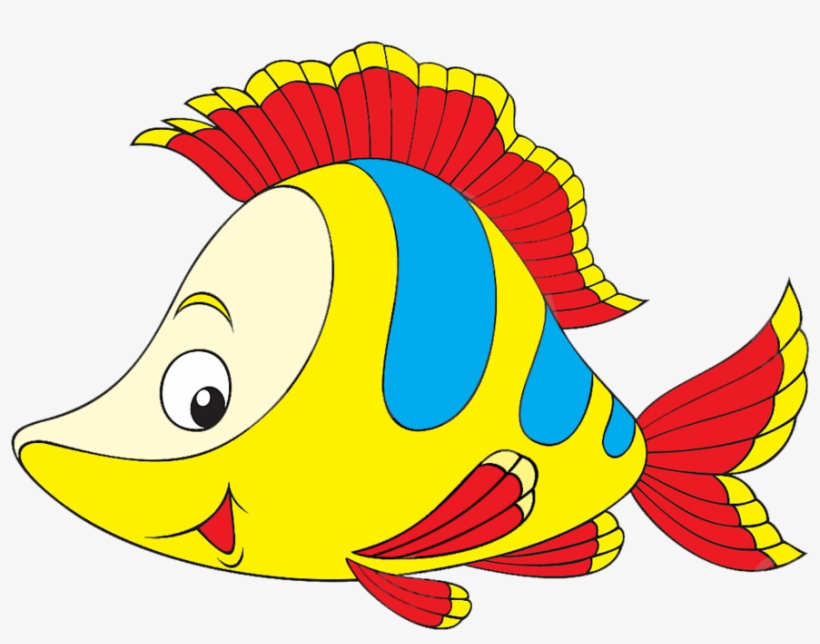 María José Argüeso - Coral Fish, transparent png download