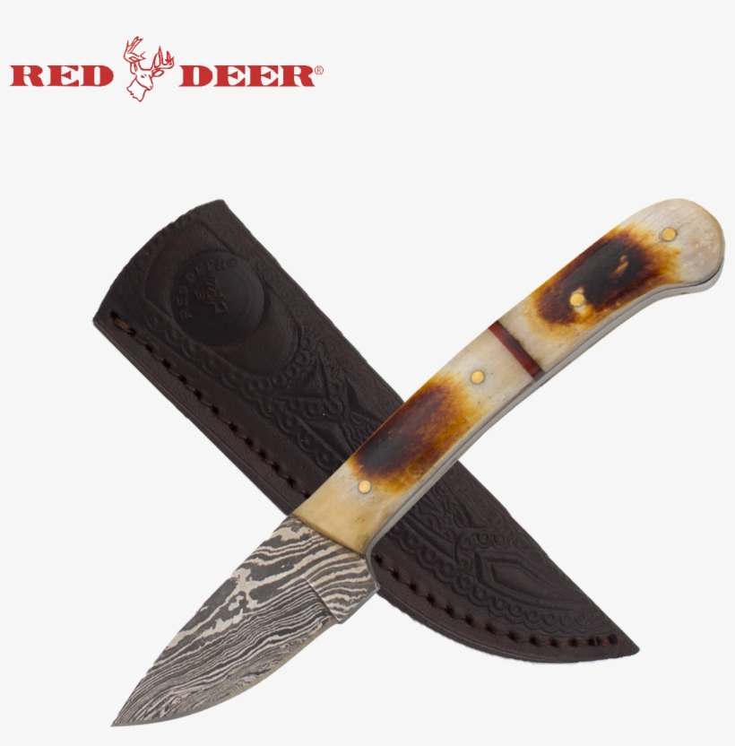 7 In Red Deer® Hunting Knife Real Bone Handle - Red Deer Genuine Leather Sharpening And Honing Strop, transparent png download