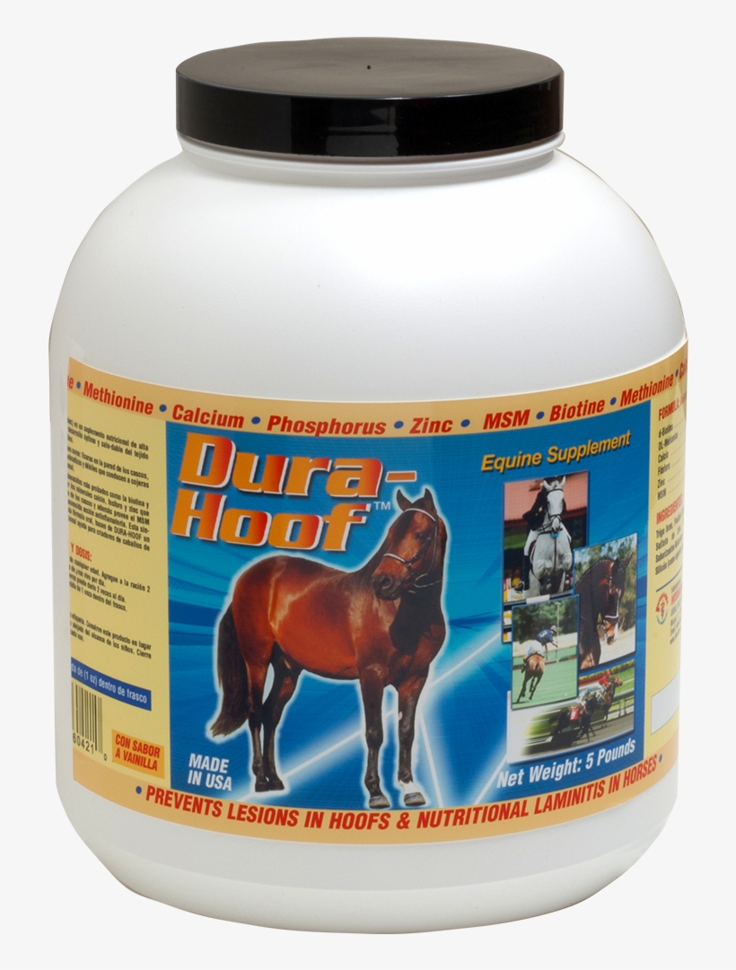 Dura, transparent png download