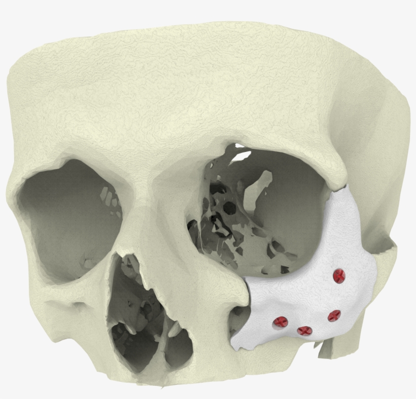Bone, transparent png download