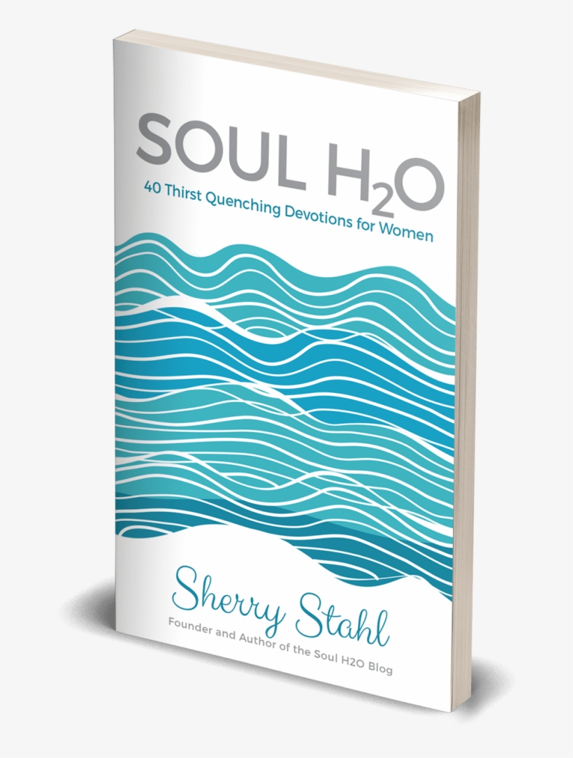 Soul H2o Devo - Mock Up Book Png, transparent png download