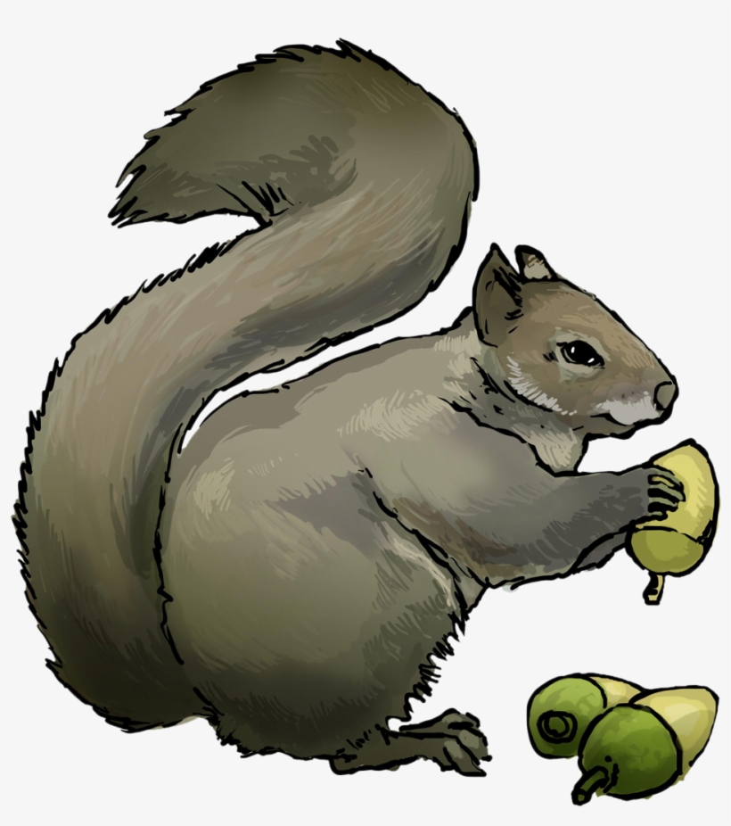 Free To Use & Public Domain Squirrel Clip Art - Squirrel Eating Clip Art, transparent png download
