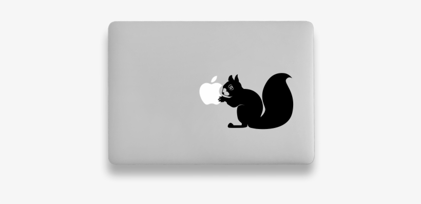 The Perfect Choice For - Chipmunk, transparent png download