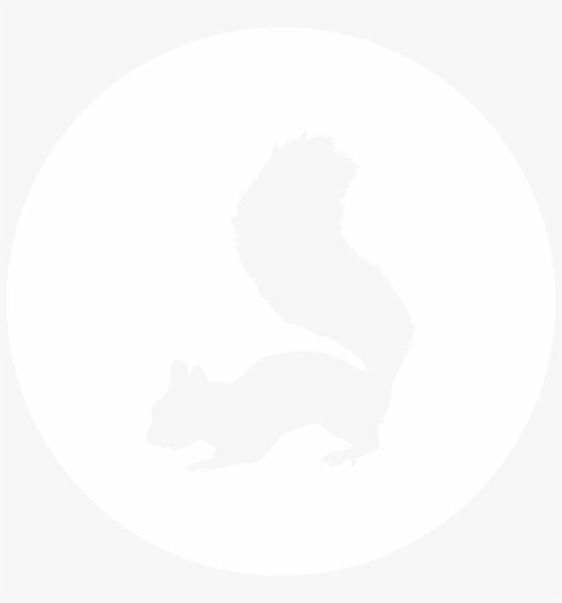 Squirrel - Facebook Icon White Circle Png, transparent png download