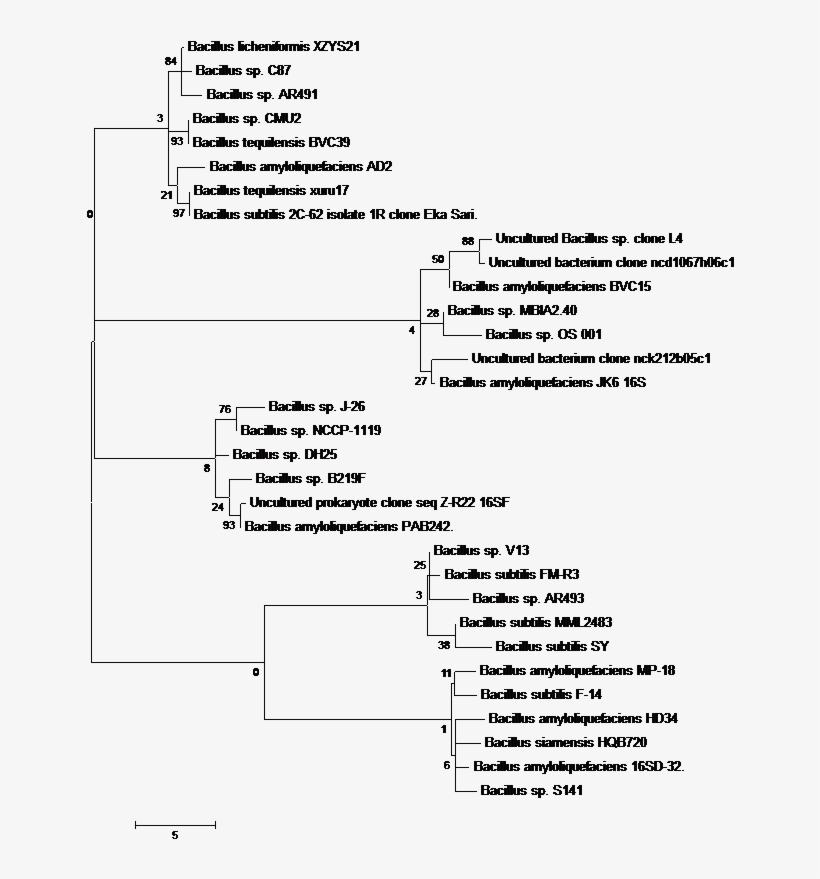 59 Kb - Portable Network Graphics, transparent png download