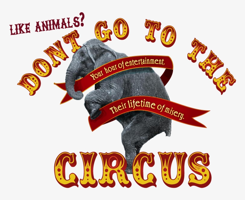 No To Circus - Hurrah For The Circus, transparent png download