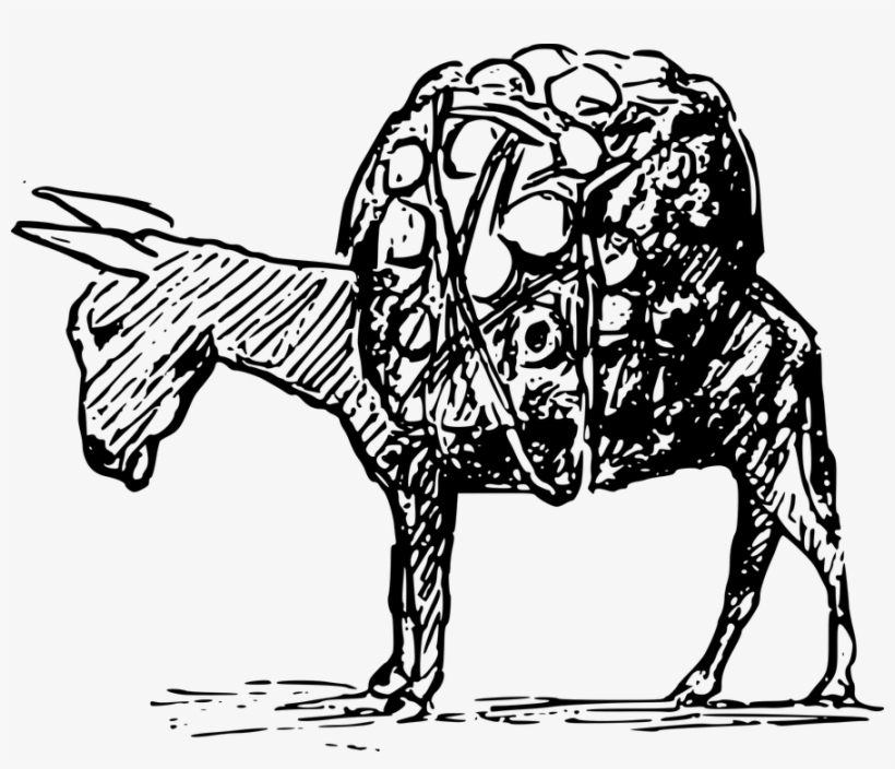 The Vitriol Circus Owner Never Treated His Animals - Drawing On Cruelty To Animals, transparent png download
