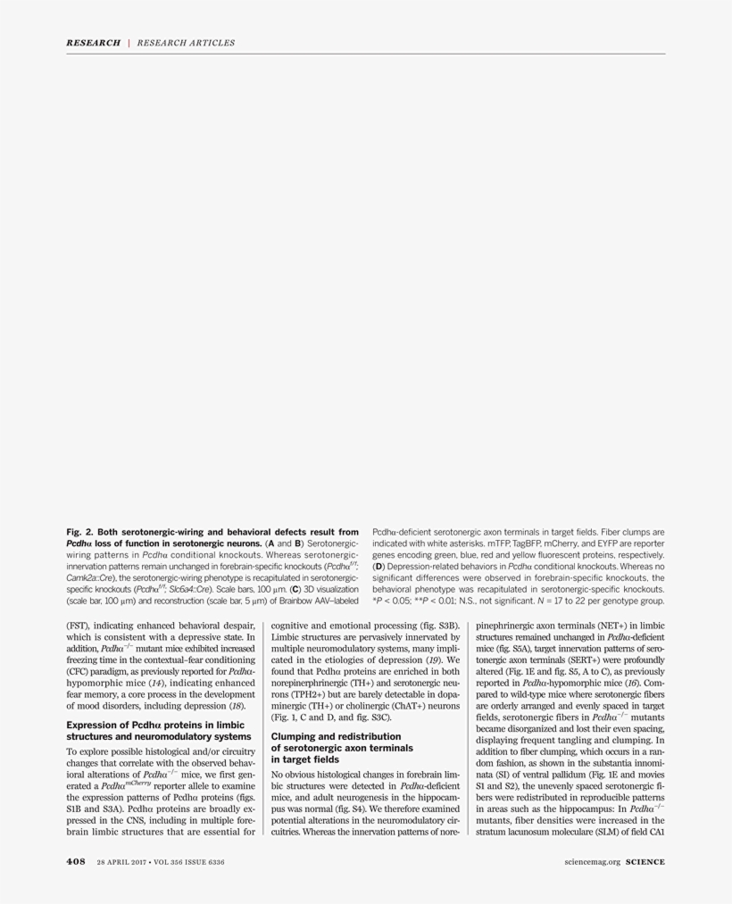 Document, transparent png download