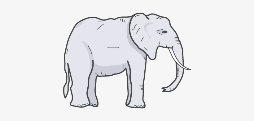 Anna Louise - Indian Elephant, transparent png download