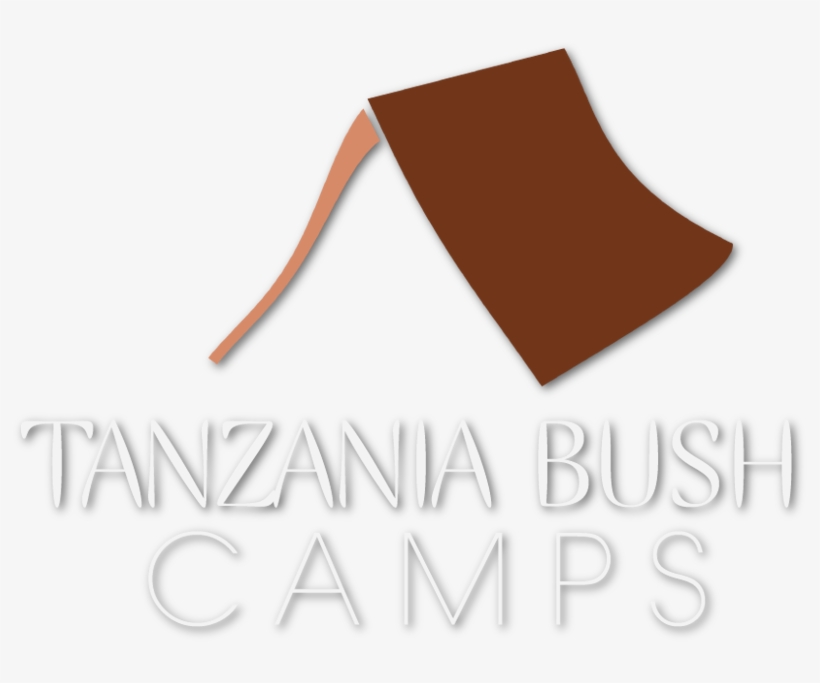 Paper, transparent png download