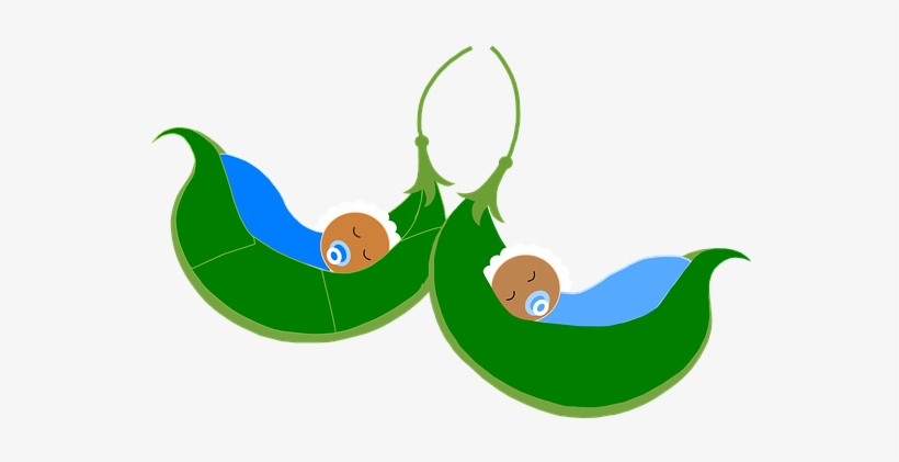 Sleeping Peas In A Pod, transparent png download