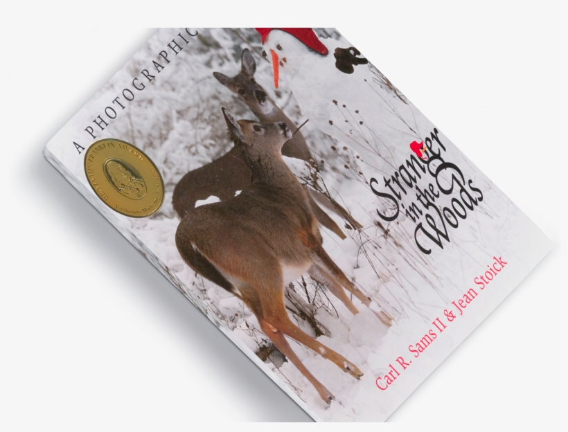 Book Mockup Free - Stranger In The Woods By Ii Carl R Sams, transparent png download