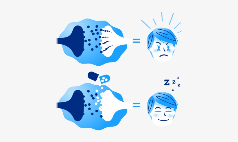 How Do Orexin Sleep Aids Work Graphic - Orexin A Sleep, transparent png download