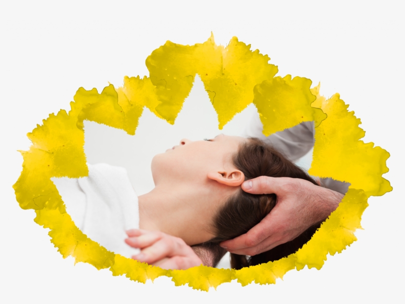 Lotus-3 - Craniosacral Therapy, transparent png download