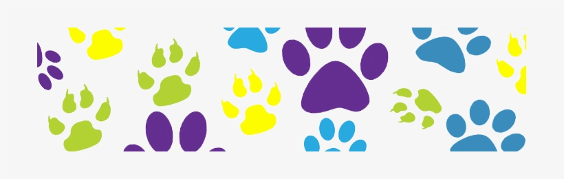 Anuncios De Venta De Perros Caniches Y Yorkshires - Dog Paw Print, transparent png download