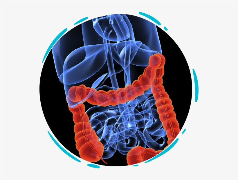 "la Huella Olfativa Del Cáncer” - Your Complete Guide To Hepatitis C, transparent png download