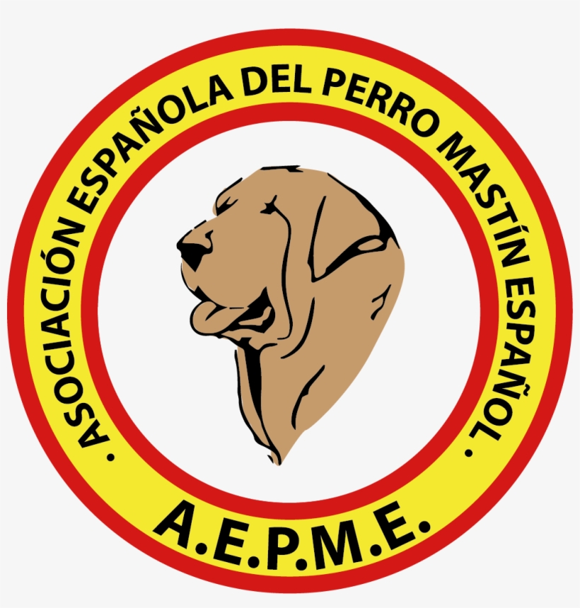 Asociación Española Del Perro Mastín Español - All About Jazz, transparent png download