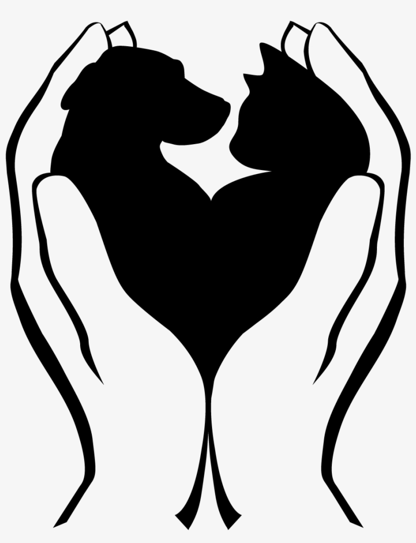 Wins, Losses & A Miracle - Humane Society, transparent png download