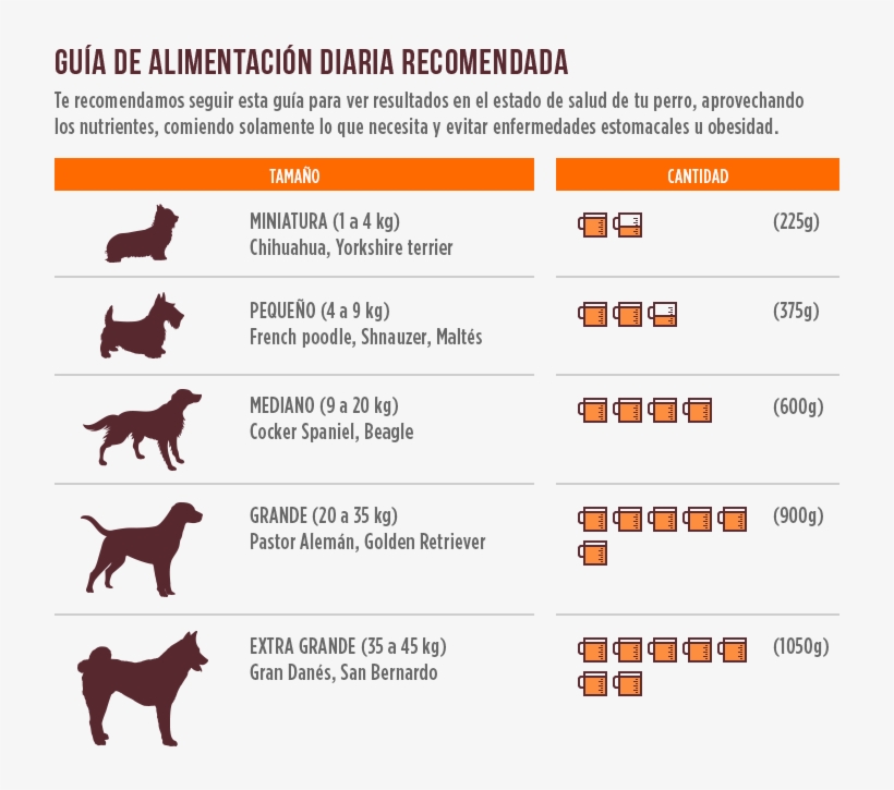10% De Ahorro - Dog, transparent png download