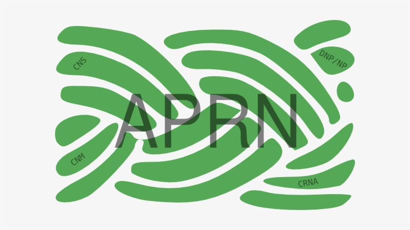 Rope - Clip Art, transparent png download