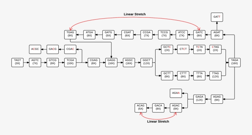 Filedna Flow Chart Png Wikimedia Commons Dna Profiling - Wikimedia Commons, transparent png download