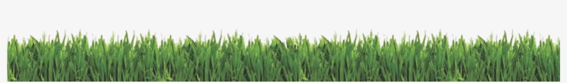 Dibujo Cesped Png - Lawn Care Business Guide [book], transparent png download